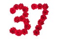 Numeral 37 made of red roses on a white isolated background. Element for decoration. Thirty seven. Red roses Royalty Free Stock Photo