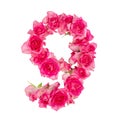 Numeral 9 made of roses on a white isolated background. Element for decoration Royalty Free Stock Photo