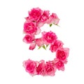 Numeral 5 made of roses on a white isolated background. Element for decoration