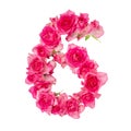 Numeral 6 made of roses on a white isolated background. Element for decoration Royalty Free Stock Photo