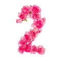 Numeral 2 made of roses on a white isolated background. Pink roses. Element for decoration Royalty Free Stock Photo