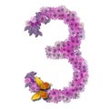 Numeral or number 3 Royalty Free Stock Photo