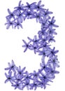 Numeral 3, three, from natural flowers of hyacinth, isolated on white background Royalty Free Stock Photo