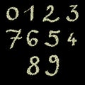 Numeric figures of raw civet coffee beans Royalty Free Stock Photo
