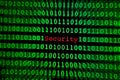 Numerical continuous code in green color, program data in binary