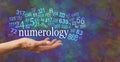 Numerology is in the palm of your hand