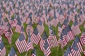 Numerous commemorative US flags