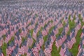 Numerous commemorative US flags