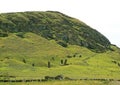 Numerous huge Moai statues abandoned on the slope of Rano Raraku volcano, the legendary Moai quarry on Easter Island of Chile