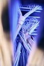 Numerous LED-illuminated network cables secured with fasteners Royalty Free Stock Photo