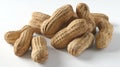 Peanuts in Shell Raw Groundnuts. Royalty Free Stock Photo