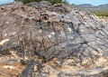 Numerous Petroglyphs On A Large Boulder