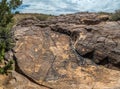 Numerous Petroglyphs On A Large Boulder