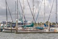 a large group of sailboats docked at a dock in the water Royalty Free Stock Photo