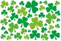 Numerous shamrocks, green three-leaf clover background