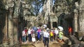 Numerous sightseeing groups walk around a tree overgrowing ancient temple ruins.