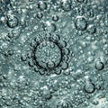 Numerous small bubbles suspended in a fluid, creating a captivating Royalty Free Stock Photo