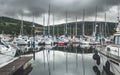 Numerous yachts at the Northern Ireland pier.