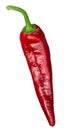 Numex espanola improved pepper, paths Royalty Free Stock Photo
