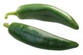 Numex Sandia Hot Chile Peppers, paths Royalty Free Stock Photo