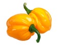 Numex Suave chiles C. chinense, paths Royalty Free Stock Photo