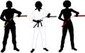 Nunchuck girl in uniform set of silhouettes Royalty Free Stock Photo