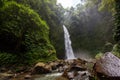 Nung-Nung Bali waterfall in rainforest