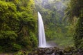 Nungnung waterfall in lush tropical forest, Bali