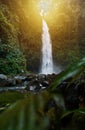 Nungnung Waterfall pouring in a natural pool inside the Balinese jungle.