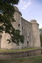 Nunney Castle Royalty Free Stock Photo