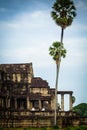 Nuns meditate on the ruin of Angkor Wat at sunrise