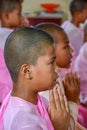 Nuns in pink robes chanting in front of Buddha Image