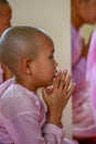 Nuns in pink robes chanting in front of Buddha Image