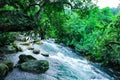 Nuoc Mooc spring - Mooc stream Phong Nha Ke Bang national park.