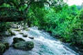 Nuoc Mooc spring - Mooc stream Phong Nha Ke Bang national park. Royalty Free Stock Photo