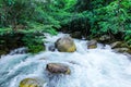 Nuoc Mooc spring - Mooc stream Phong Nha Ke Bang national park Royalty Free Stock Photo