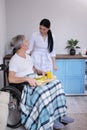 Nurse bringing food to patient in wheelchair. Royalty Free Stock Photo