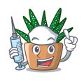 Nurse character small zebra cactus plant on pot