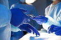 Nurse giving tool to doctor in surgery room Royalty Free Stock Photo