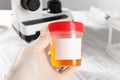 Nurse holding container with urine sample for analysis at table, closeup Royalty Free Stock Photo