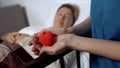 Nurse holding toy-heart in hands on background of ill woman in sickbed, kindness