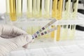 Nurse holding tube with urine sample for analysis at table, closeup Royalty Free Stock Photo