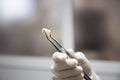 The nurse holds the extracted molar with tweezers