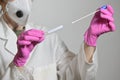 Nurse Holds A Swab For The Coronavirus Test