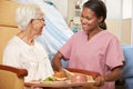 Nurse Serving Meal To Senior Female Patient Sitting In Chair