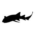 Nurse Shark Ginglymostoma Cirratum Swimming On a Side View Silhouette Found In Map Of Africa And America Ocean.