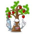 Nurse strawberry tree in the mascot pots