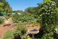 A bird feeder nestled amongst a busy garden