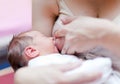 Nursing newborn baby Royalty Free Stock Photo