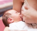 Nursing newborn baby Royalty Free Stock Photo